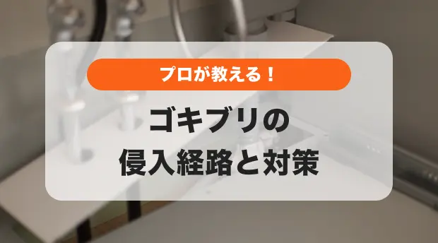ゴキブリ侵入イメージ