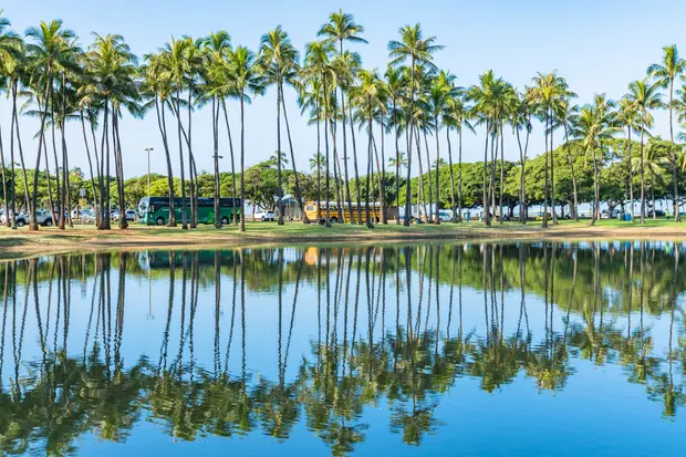 水面に映った横並びのヤシの木1