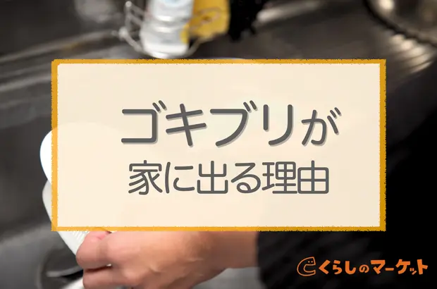 ゴキブリ駆除 Gが苦手な人向け完全退治10の方法 画像なし くらしのマーケットマガジン