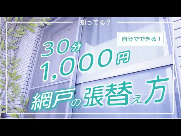 【簡単】自分で網戸を張り替えるには？プロの5ステップを伝授！