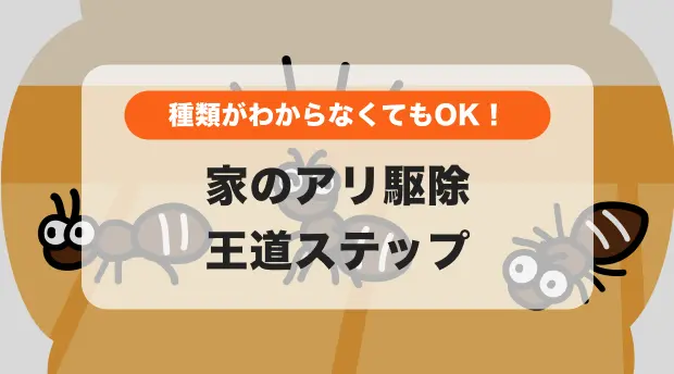 キッチンに発生したアリの行列