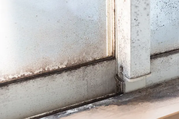 加湿器の結露の放置 寝る時つけたままはng 危険性と簡単対策 くらしのマーケットマガジン