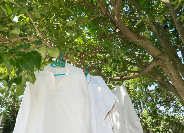 自分でできる コートの正しい洗い方を素材別に解説 くらしのマーケットマガジン