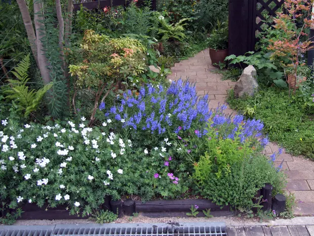 花壇の作り方　レイアウト例