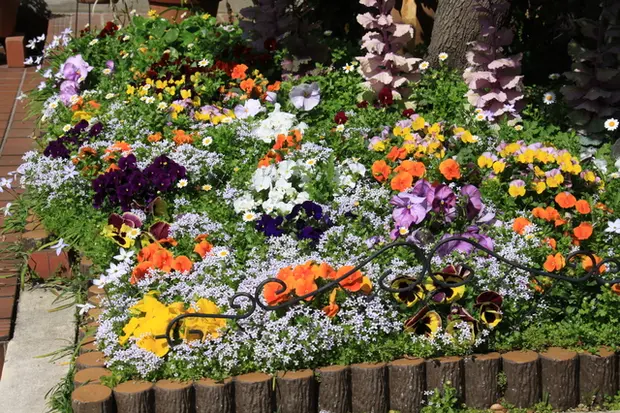 花壇の作り方　レイアウト例