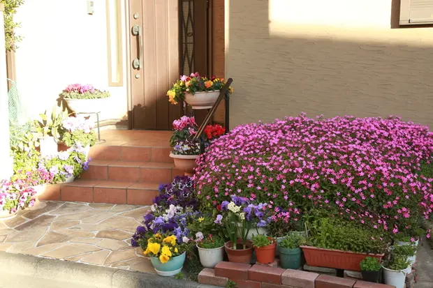 花壇の作り方　レイアウト例　寄せ集め