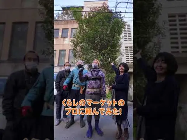 高さ8mの庭木の剪定をプロに依頼したら…【驚きのビフォーアフター】#Shorts