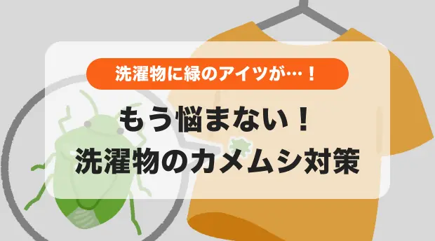 洗濯物にとまるカメムシ