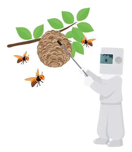 長い棒を使って巣を落とす