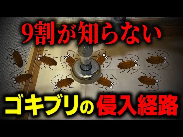 【道具いらずの最強ゴキブリ対策】隙間を塞いで侵入を断つ！自分でできるやり方を駆除のプロが直伝＜賃貸・アパートでもOK＞｜東京