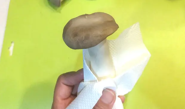 栄養士監修 エリンギは洗う 栄養 美味しい切り方 保存法 保存期間 くらしのマーケットマガジン