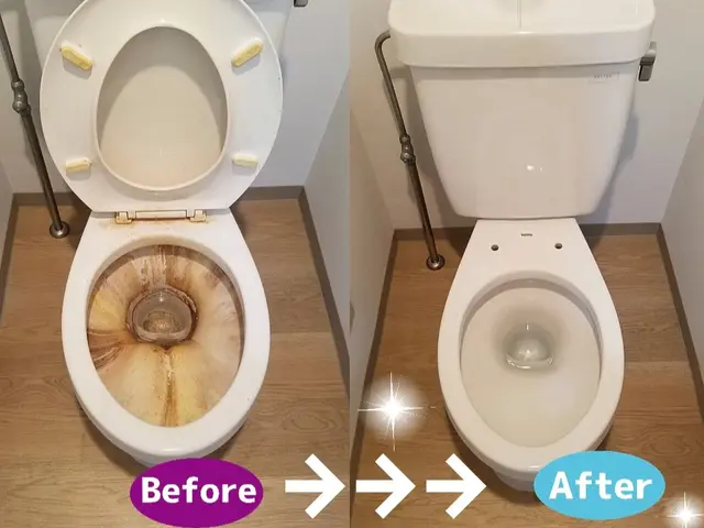 トイレ掃除 Paypay 楽天 Aupay決済ｏｋ 口コミ900件達成 リベンライズのトイレクリーニング くらしのマーケット