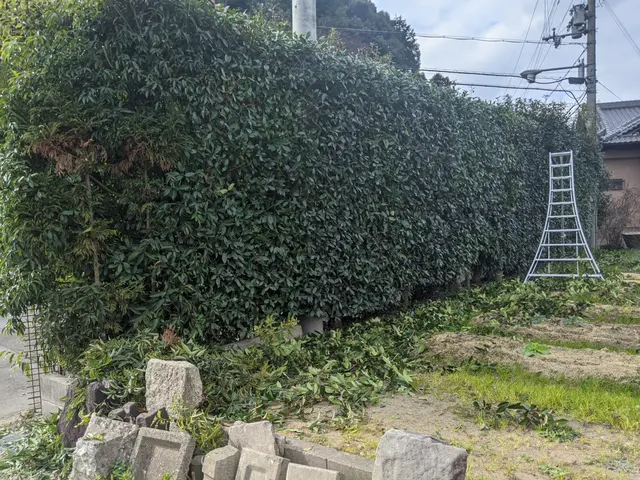 夏 伸び放題の植木はありませんか 西川草去園の庭木の剪定 くらしのマーケット
