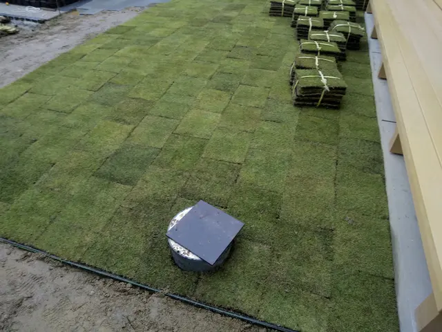 芝張りいたします こちらでも芝用意できます お客様が用意も可能です 人工芝も可能 吉川造園の芝張り くらしのマーケット