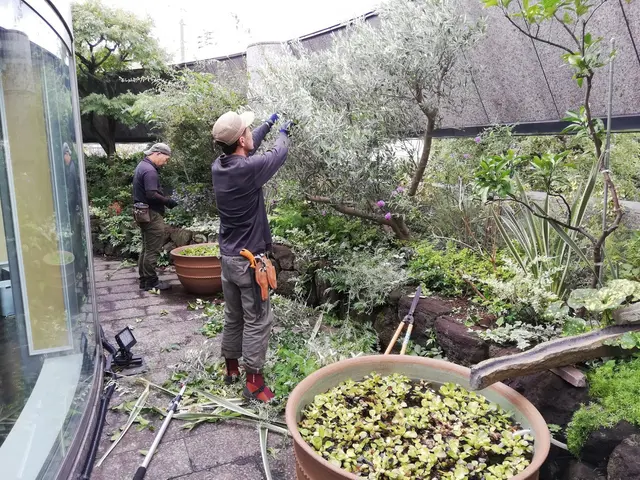 余計な枝をカットで庭木もお庭もスッキリ元気に 神奈川近郊 安心価格 株 Nota House Plantsの庭木の剪定 くらしのマーケット