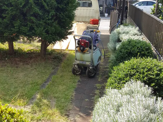 毛虫の駆除 植木の消毒 茨城 千葉 埼玉 栃木 ヒューマンアシスト ヒュマンアシストの害虫駆除 毛虫 チャドクガ駆除 くらしのマーケット